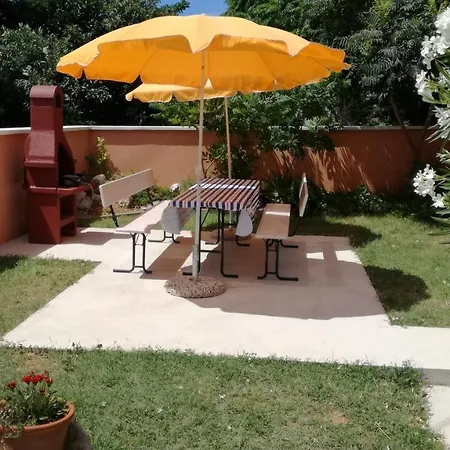 Studio Barbat 11472a *