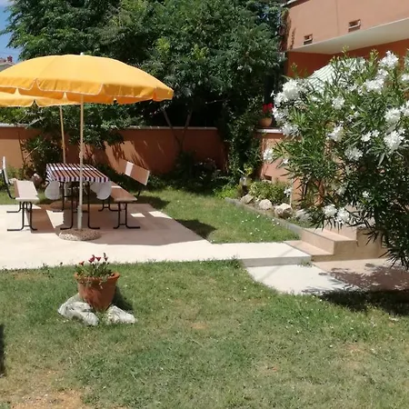 Studio Barbat 11472a